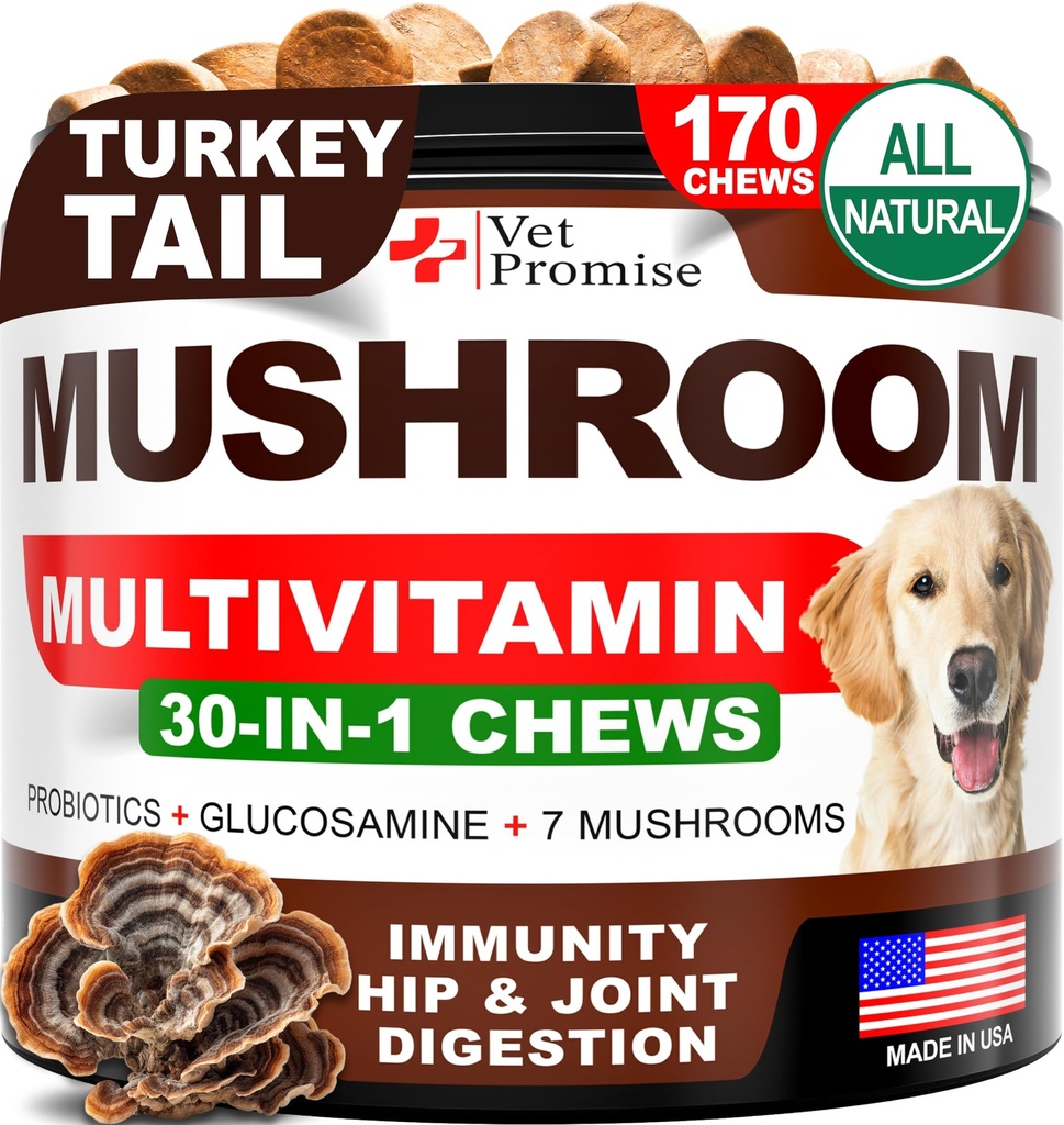 Champignons pour chiens - 170 Chews - Turkey Tail - Supplément Champignons pour chiens - Lions Mane - Reishi - Immunity Support Vitamines multivitamines - Joint Health - Energy - Gut - Skin - Made in USA