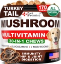 Champignons pour chiens - 170 Chews - Turkey Tail - Supplément Champignons pour chiens - Lions Mane - Reishi - Immunity Support Vitamines multivitamines - Joint Health - Energy - Gut - Skin - Made in USA