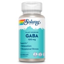 SOLARAY GABA 100 mg - Relaxation, stress occasionnel et supplément de soutien d'humeur de l'orge fermentée - Vegan, sans gluten - Garantie de 60 jours - 30 portions, 30 VegCaps