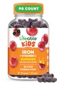 Suppléments en fer pour les enfants de 10mg de vitamine C de Vitamine C de Vitamine Grand Gommies en fer pour les enfants de Vegan Non GMO Enfants Iron de Vitamine C de Vitamine 90 Gommies Lifeable