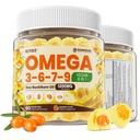 Omega 3-6-7-9 Gummies, Huile d'Arbre de mer biologique 1200MG & Huile de lin 500MG, Supplément Vegan Omega 7 avec Vitamine A, C, E, Acides gras, Pas de goût de poisson, Soutient la peau, l'œil, l'Immune, la santé du cerveau, 60 Cts