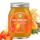 Gel de mousse de mer, Irish Seamoss Gel Imune cru et soutien digestif Vitamine Mineral Suppléments, Ashwagandha Mango Flavor 18.5oz
