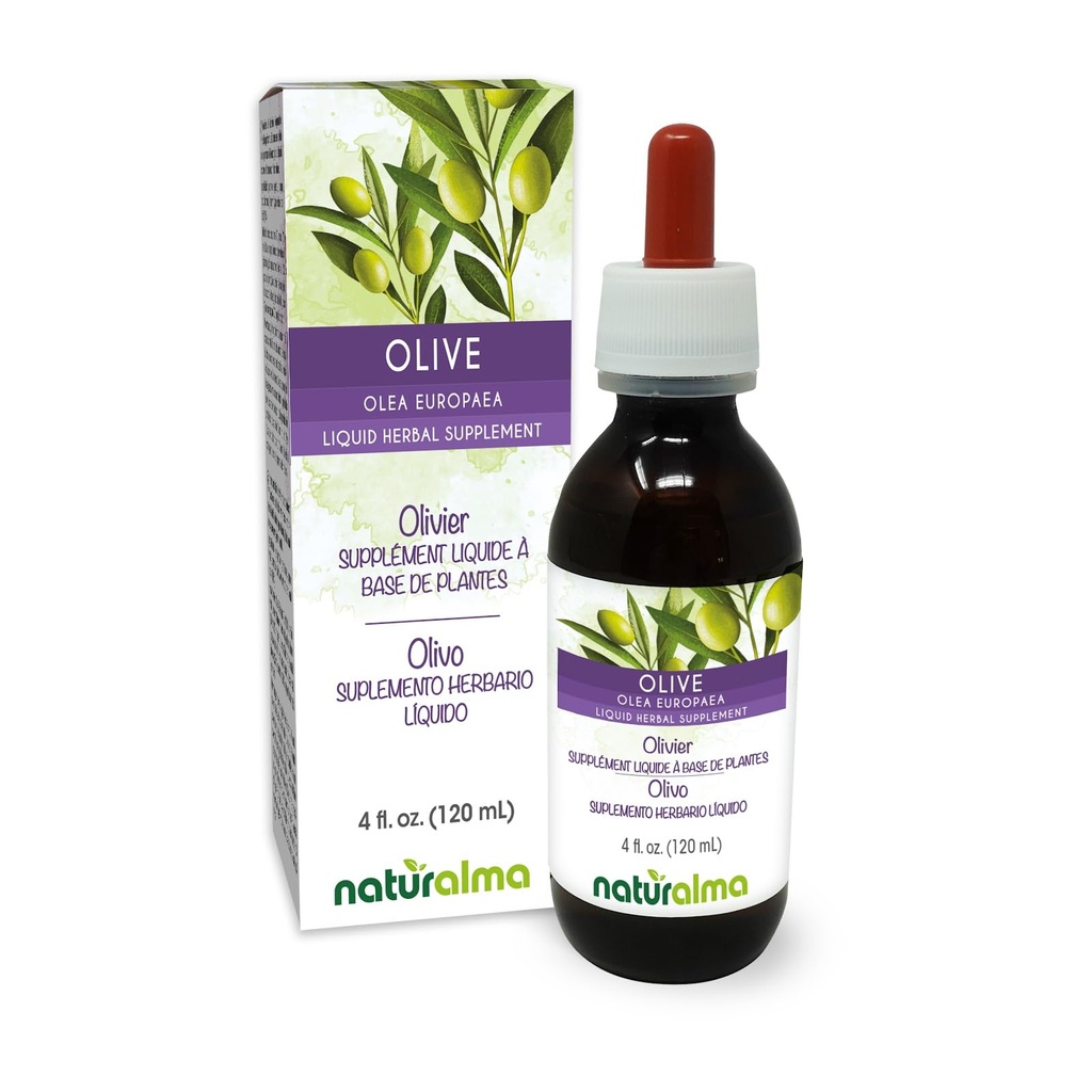 Naturalma Olive (Olea europaea) Leaf Alcohol-Free Tincture - 4 fl oz Liquid Extract in Drops - Herbal Supplement - Vegan