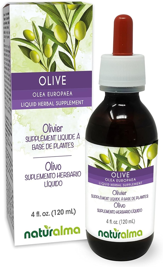 Naturalma Olive (Olea europaea) Teinture sans alcool - 4 fl oz Extrait liquide dans les gouttes - Supplément à base de plantes - Vegan
