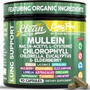 Nettoyez Nutra Mullein Leaf Extract for Lungs Nettoyez le supplément NAC Chlorophyll Chlorella Elderberry.