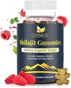 Gummées d'or pur Himalayan Shilajit avec Gokshura & Ashwagandha – sans sucre, biologique, labo-testé avec 85+ Trace Minerals & Fulvic Acid – Supplément non OGM pour les hommes et les femmes, 60 Gummées
