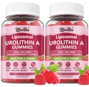 3500mg Liposomal Urolithin A Gummies, 12-in-1 High Absorption Mitopure Urolithin A Supplement for Cellular Energy & Healthy Aging Support, with CoQ10, PQQ, Trans-Resveratrol, L-Carnitine, NMNH, 120Cts