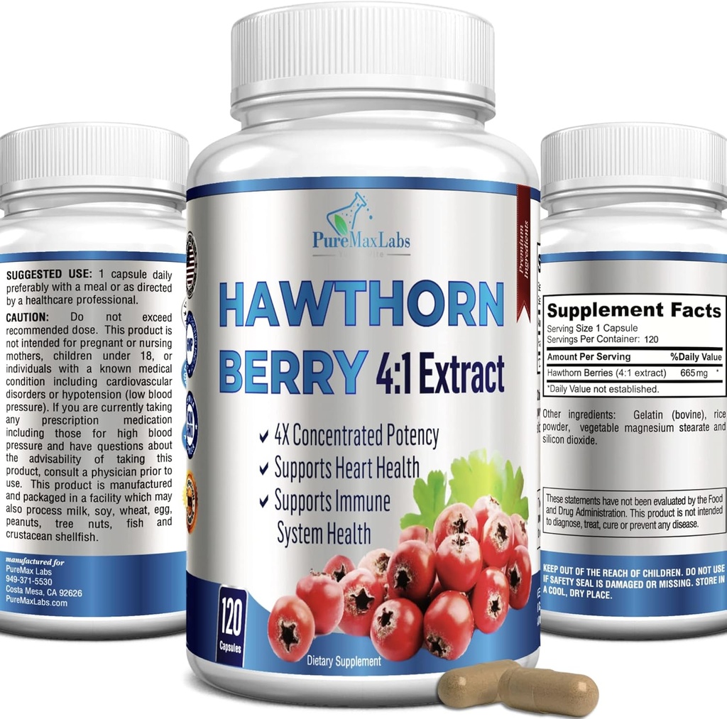 Berry Hawthorn 4:1 Extrait (120 Capsules) Système immunitaire Support, Super Antioxydant, Capsules de Berry Hawthorn Concentré à partir de 2660mg Berries