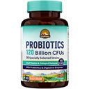 VITALITOWN Probiotiques 120 milliards d'UFC 36 souches, avec des prébiotiques et des enzymes digestives pour les hommes femmes Étagère Stable Résistante Digestive Health & Immune Support Résumé Vegan, Non-GMO