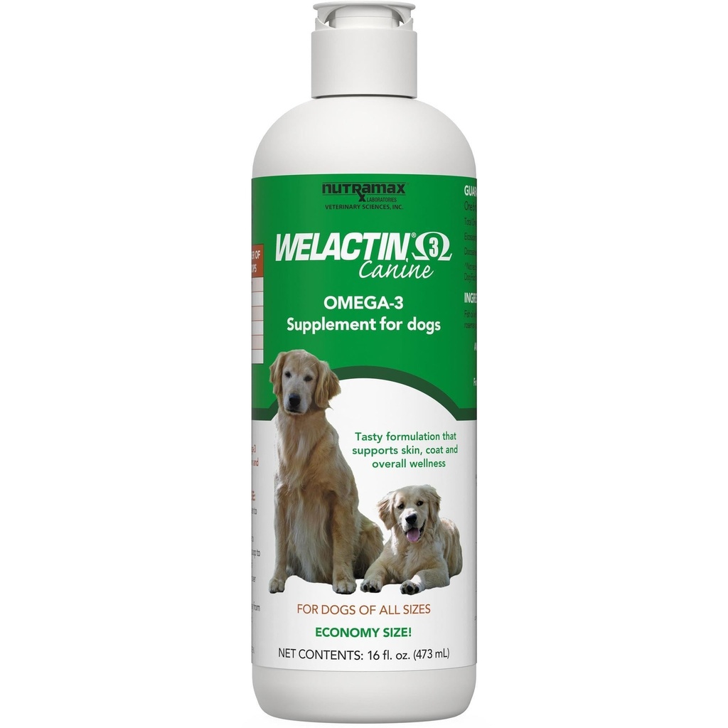 Nutramax Welactin Omega 3 Huile de poisson pour chiens, supplément de santé de la peau et du manteau, plus joint, immunitaire, rein et soutien du cerveau, acides gras Omega 3 Premium, pour chiens, 16 once liquide