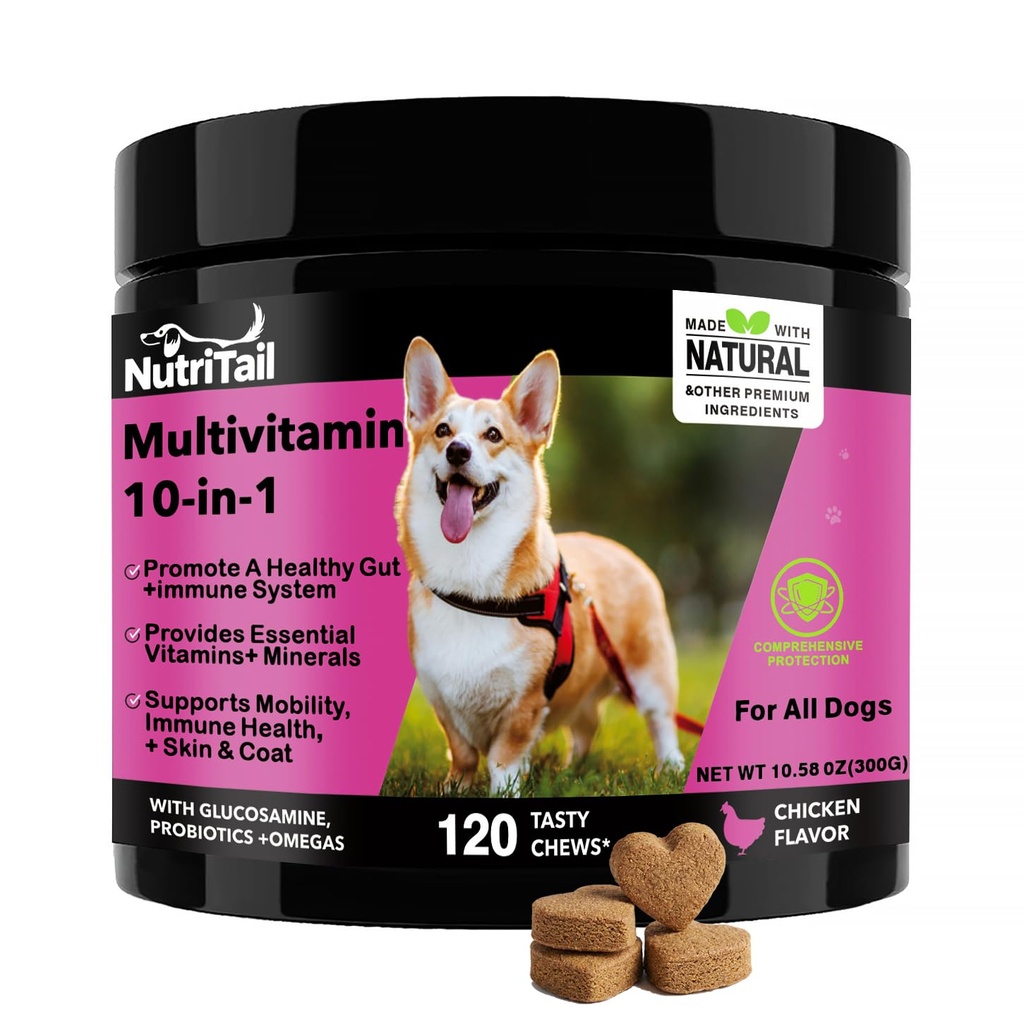 NutriTrail Multivitamin for Dogs – 10-in-1 Soft Chews with Glucosamine, Probiotics, Omega-3, Vitamins & Minerals – Supports Hip & Joint, Digestion, Skin & Coat, and Immune Health – Chicken, 120 Ct