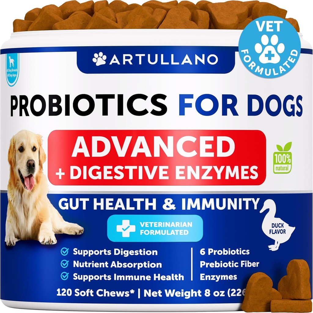 Probiotiques pour chiens - Soutien Santé Gut, peau démangeaison, allergies, immunité, équilibre des levures - Probiotiques pour chiens et enzymes digestives avec prébiotiques - Réduire la diarrhée, gaz - 120 Chews probiotiques pour chiens