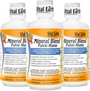 Minéraux de la Terre Vital Fulvic Humic Mineral Mix Liquid 3-Pack – Supplément Acid Fulvic avec 70+ Trace Minerals, Electrolytes pour la récupération, l'équilibre et l'énergie, 32 Oz Ea + 1 Oz Cup Ea