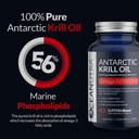 100% Pure Krill Oil 1000MG 120-Day Supply Double Strength 56% Phospholipides Astaxanthin Sustainable Antarctic SuperbaBoost Omega 3 EPA DHA Heart Soins de la peau du cerveau, Troisième partie testée, Pas d'huile de poisson