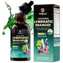 Liposomal Lymphatic Drainage Drops, 4 fl oz – 30-in-1 Lymphatic Drainage Supplements with Echinacea, Burdock Root & Milk Thistle – Supports Lymphatic System, Immune & Liver Health – Detox Support