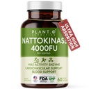 PLANT.O NUTRITION Nattokinase Supplement with Max Enzyme Support - 4,000 FU Per Serving - Premium Nattokinase Formula for Heart Health Support - 60 Capsules - Made in USA