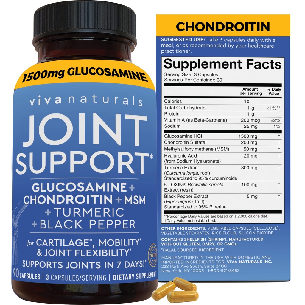 Viva Naturals Glucosamine Chondroïtine MSM Joint Support Supplément, 90 Capsules - avec Turmeric, Black Pepper, Boswellia et Hyaluronique Acid - Joint Health Supplément pour la mobilité et la flexibilité