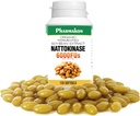 PHARMAKON Natural Nattokinase Bio extrait de soja fermenté, 6000 UF par portion