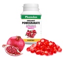PHARMAKON Wholesome Pomegranate Extract, Highly Bioavailable Softgels, Full Spectrum Contains Polyphenols + Omega 5