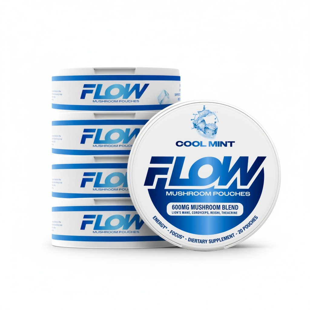 Poupées de champignons Nootropic Pochettes - 600mg Bio Mushroom Energy Ultra Pochettes avec Lion's Mane, Reishi, Cordyceps pour Focus & Clean Energy - Zéro Caféine ou Sucre (5 Can Pack, Cool Mint)
