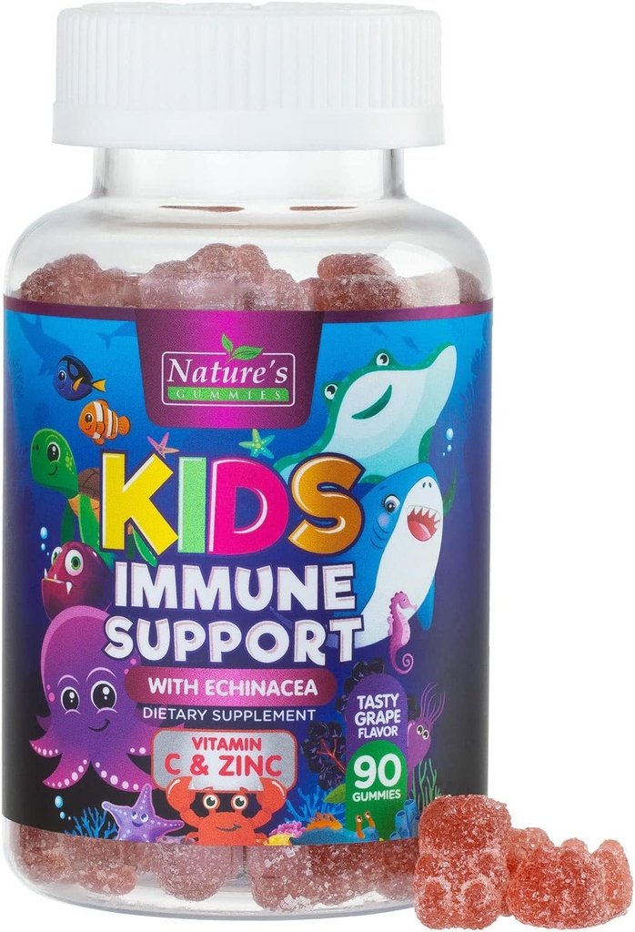 Supplément de soutien immunitaire pour enfants Gommies - Vitamines quotidiennes pour enfants C, Zinc et Echinacea - Gommy pour enfants Immunity Support, 4 ans et plus, Berry Flavor naturel, non-OGM, sans gluten et végétalien - 90 Gommies
