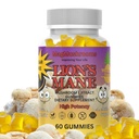 Lion’s Mane Sugar Free, Vegan Gummies, High Potency, Double Extracted, 60 Gummies