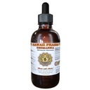 Hawaii Pharm Rehmannia Extrait liquide, Rehmannia (Rehmania Glutinosa) Teinture, supplément à base de plantes, Fabriqué aux États-Unis, 4 fl.oz