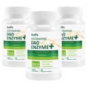 Suppléments DAO Bloqueur d'histamine – Enzyme DAO + Diamine Oxidase & Quercetin, Immortelle, Vitamine C pour Gut Santé et Soutien Alimentaire 180 Capsules