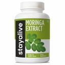 STAY ALIVE Moringa Capsules 1000mg, 20:1 Extrait, 120 pilules, Green Superfood avec une force supplémentaire, 100% poudre de feuille d'oléifère pure, 2 mois d'approvisionnement, tout naturel, sans OGM et sans gluten Moringa supplément