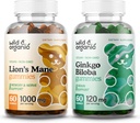 Gummies de lion sauvage et biologique et Ginkgo Biloba Gummies