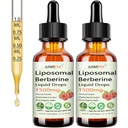 2 Pack Liposomal Berberine Supplément 1500mg, 2-en-1 Extra Strength GLP-1 Moringa Berberine gouttes support Métabolisant Gut digestif coeur santé et vitamines nutriments pour les femmes hommes végétalien non-OGM