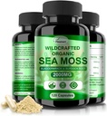 Irish Sea Moss Capsules 120ct Raw Sea Moss Wildcrafted Bladderwrack Burdock Root Capsules Super Food Immune Système Digestion santé Pilules de mousse de mer