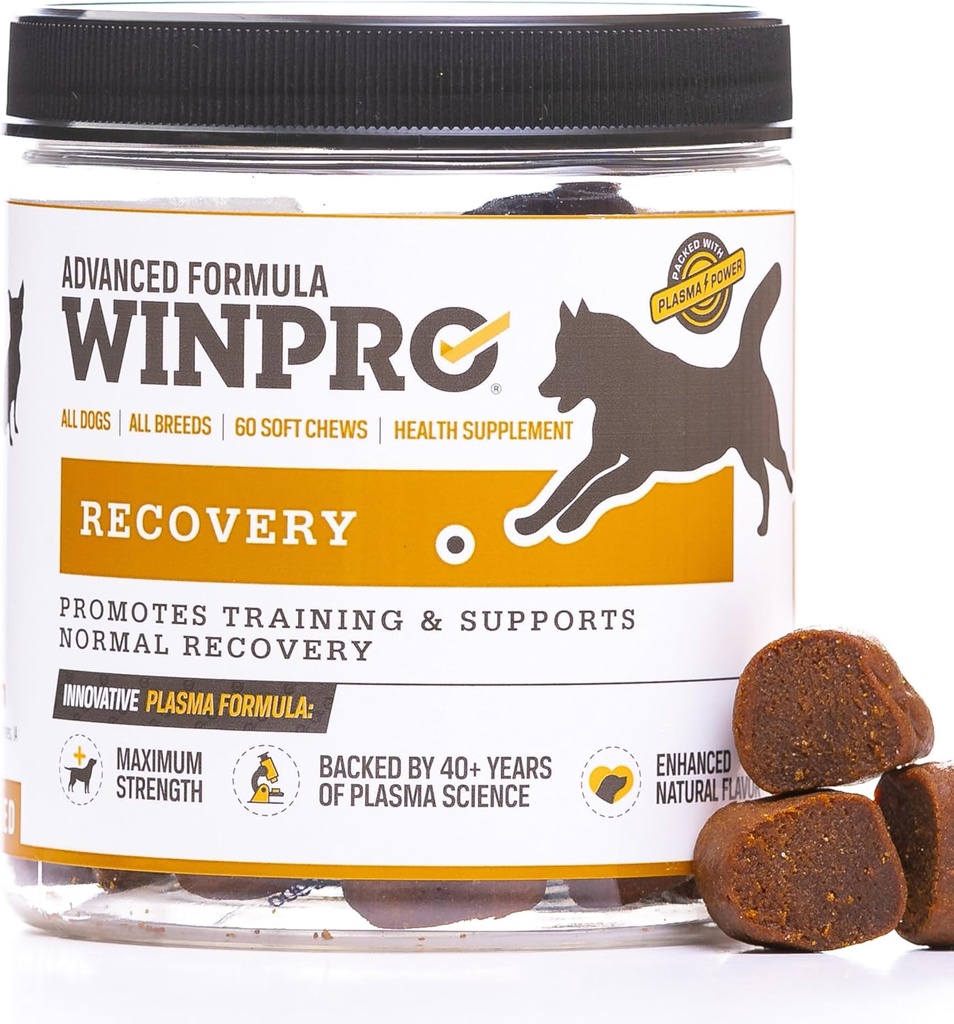 WINPRO Recovery Chews for Dogs, Plasma-Powered for Active Dogs, Immune System Support, and Dog Training Support for Competition and Sport Muscle Recovery and Agility, 60 Comte, Made in USA
