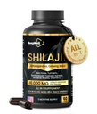 Shilajit Capsules pour hommes et femmes, 16,000mg Pure Himalayan Organic Shilajit soutient la vitalité et le bien-être,Premium Pure Himalayan Supplément 2 mois d'approvisionnement, 60 capsules