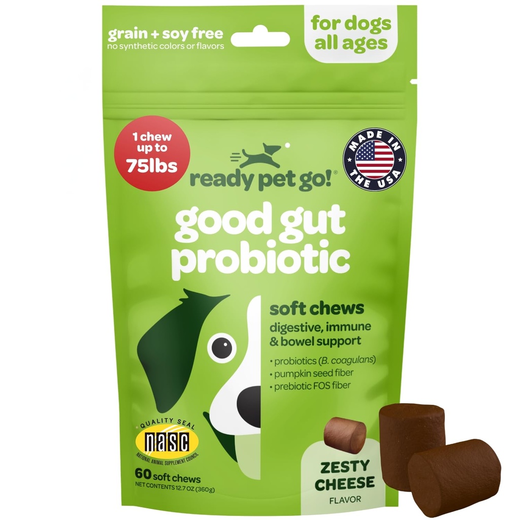 Poêles probiotiques pour chiens Gut Health (en anglais seulement) Pré et probiotiques savoureux pour chiens Santé digestive avec probiotiques pour chiens citrouille et enzymes digestives (en anglais seulement) Certifié et fabriqué aux États-Unis (en anglais seulement) 60 Chews
