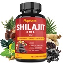 Shilajit Himalayan Capsules - 3 mois d'approvisionnement - Ashwagandha combiné, Ginseng, Saw Palmetto, Maca, Tribulus, Chaga, Poivre noir