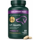 VetriScience Action rapide UT Santé Comprimés à mâcher, supplément STAT de force UT pour chiens, canneberge, Uva Ursi et Chanca Piedra pour apaiser les troubles du traîtage urinaire, fumée, 90 Compte
