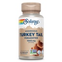 SOLARAY Fermented Turkey Tail Mushroom Supplement 1000mg - Soutien général au bien-être - Turkey Tail Mushroom Capsules avec des champignons biologiques - Vegan, Non-OGM, Lab Vérifié, Garantie de 60 jours, 30 portions