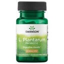 Swanson L. Plantarum - Supplément digestif Promotion de l'équilibre gastro-intestinal et de la régularité du Bowel - Formule naturelle pour aider à réduire le ballonnement - (30 Capsules de légumes)