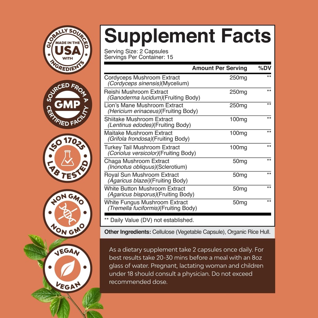 Capsules complexes avancées de champignons - 10X Lions Mane Complément Capsules avec Reishi, Chaga, Maitake & Shiitake pour la santé cérébrale Soutien et Focus - Nootropic pour la clarté mentale - 30 capsules