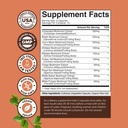 Advanced Mushroom Complex Capsules - 10X Lions Mane Supplement Capsules with Reishi, Chaga, Maitake & Shiitake for Brain Health Memory Support & Focus - Nootropic for Mental Clarity - 30 Caps