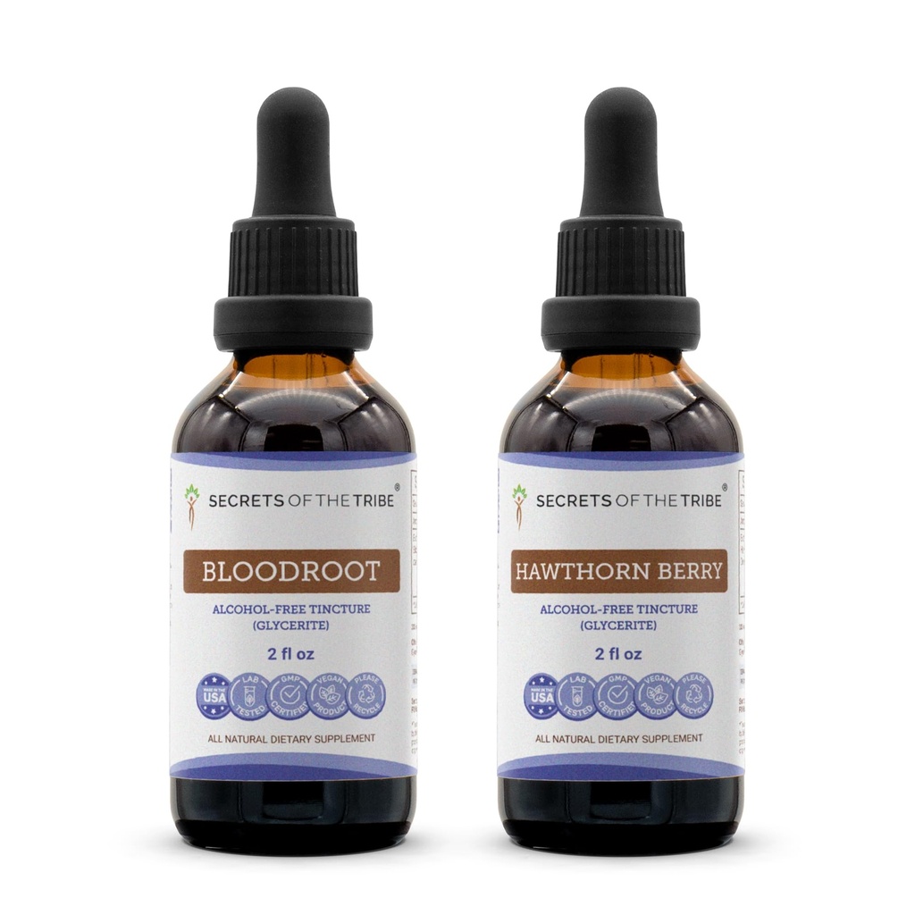 Secrets of the Tribe Bloodroot and Hawthorn Berry Liquid Extract 2x2 oz | Sanguinaria Canadensis Dried Root and Crataegus Spp Dried Berry