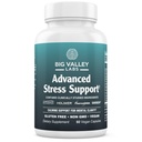 Advanced Stress Support – Holy Basil, Shoden® Ashwagandha, AlphaWave® L-Theanine, PharmaGABA®, Cacao Theobromine – Calm & Clarity Formula – Vegan, Non-GMO, Gluten-Free – 60 Capsules