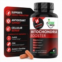 Vegan Mitochondrial Support – Advanced Cellular Wellness & Natural Energy Formula with CoQ10, PQQ, Acetyl-L-Carnitine, Alpha-Lipoic Acid, Magnesium, BioPerine® - Daily Support (60 Capsules)
