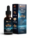 Rest Mushroom Complex Drops – Reishi Mushroom Extract Blend with Turkey Tail, Shiitake & Lion’s Mane for Evening Routine – Dual Extract Tincture by Lone Star Mushrooms, 2oz