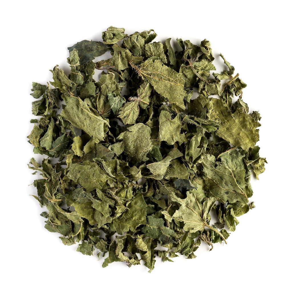 Thé de Nettle Feuille Organic Herbal - Bouilloires séchées - Urtica Dioica - Thé de Nettle Organic Sting Nettle Nettle Tea Nettke Feuille de Nettke Feuilles de Nettle séchées Nettles Herb Feuilles de Thé de Nettle sec Bio