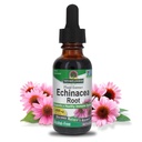 La réponse de la nature Echinacea Extrait sans alcool 1 Fluide Ounce