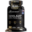 Shilajit Capsules 20 000mg – Pure Himalayan Shilajit pour les hommes et les femmes – Même que la résine - Supplément acide fulvic avec 85+ minéraux traces – Haute puissance de l'énergie naturelle – 120 capsules végétaliennes