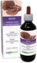 Naturalma Reishi (Ganoderma lucidum) Fonges ou champignons Teinture sans alcool - 6,76 fl oz Extrait liquide dans les gouttes - Supplément à base de plantes - végétalien