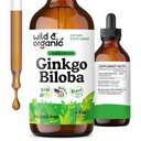 Ginkgo Biloba Extraits sauvages et biologiques - Soutien Cerveau et Focus - Ginkgo Biloba Liquid Suppléments - Teinture végétale, sans sucre et sans alcool - 4 fl oz